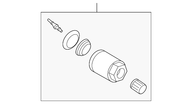 Valve-Tyre C2D29156OEM