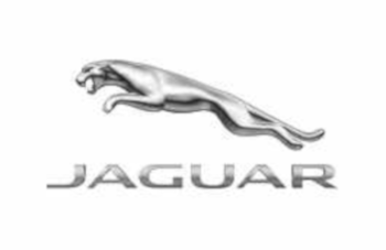 Mirror-Interior (Jaguar OEM) J9C5563OEM