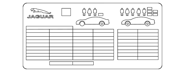 Label (Jaguar OEM) T2H33117OEM