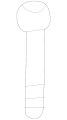 Jaguar Screw AJ810551OEM