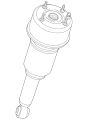 Damper & Spring- (Jaguar OEM) C2C41346OEM