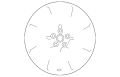 Wheel-Road-Alloy (Jaguar OEM) C2D24742OEM