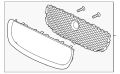 Grille-Radiator (Jaguar OEM) C2D49959OEM