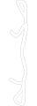 Spring-Locator (Jaguar OEM) C2P12431OEM