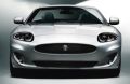 Mesh-Grille (Jaguar OEM) C2P18025OEM