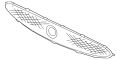 Mesh-Grille (Jaguar OEM) C2P21074OEM