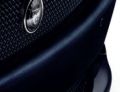Mesh-Grille (Jaguar OEM) C2P8121OEM