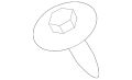 Screw/Washer (Jaguar OEM) C2S45005OEM