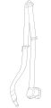 Seatbelt (Jaguar OEM) C2S4773LGPOEM