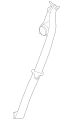 Seatbelt C2Z13101JMNOEM