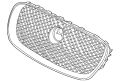 Grille-Radiator C2Z13199OEM