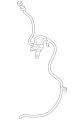Hose-Vacuum (Jaguar OEM) C2Z18387OEM