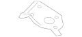 Reinforcement (Jaguar OEM) C2Z3978OEM