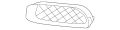 Mesh-Grille (Jaguar OEM) C2Z4911OEM