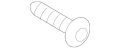 Screw (Jaguar OEM) C2Z6250OEM