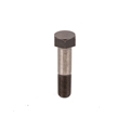 Jaguar Rear Brake Rotor  / Half Shaft Bolt