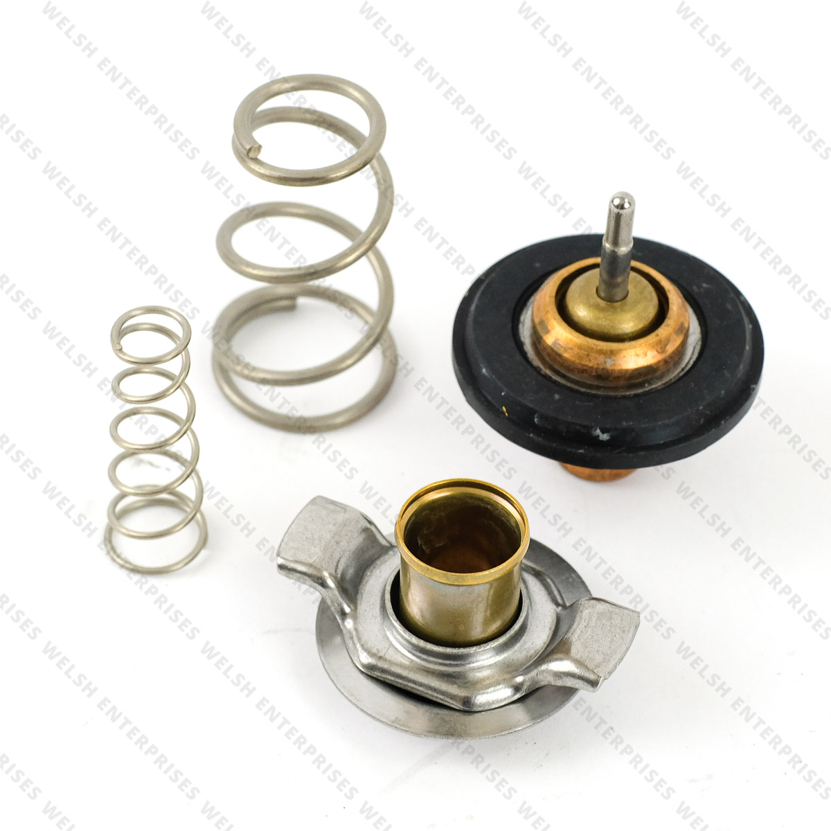 Jaguar Thermostat