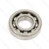 Jaguar Tail Housing Bearing