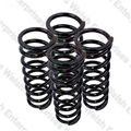 Jaguar Rear Road Spring Set Of 4