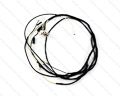 Jaguar Engine Harness