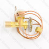 Jaguar A/C Expansion Valve