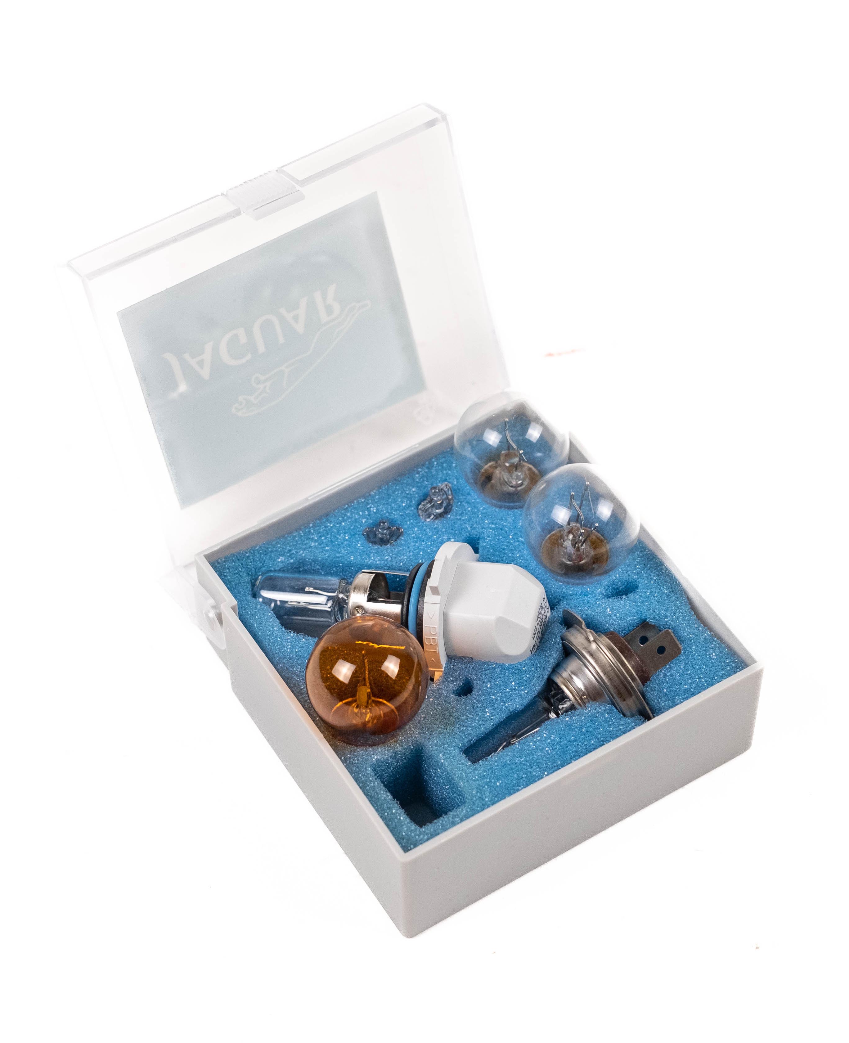 Jaguar Kit-Bulb