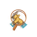 Jaguar Valve Expansion Air Conditioning