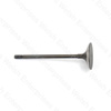 Jaguar Intake Valve