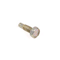 Jaguar Set Screw M6X12Mm Torx