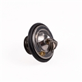 Jaguar Thermostat With Gasket