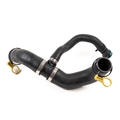 Jaguar Hose-Radiator