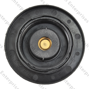 Jaguar Reservoir Cap