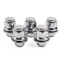 Jaguar Lugnut Kit