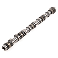 Camshaft-Inlet