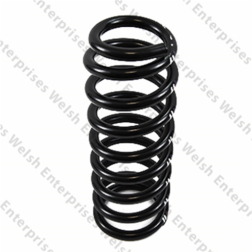 Jaguar Rear Spring