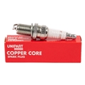 Jaguar Spark Plug (3.6/4.0)