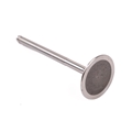 Jaguar Intake Valve
