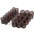 Jaguar Valve Spring Set