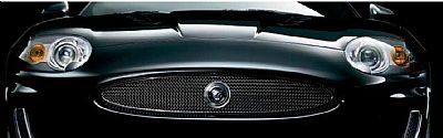 Mesh-Grille (Jaguar OEM) C2P17354OEM