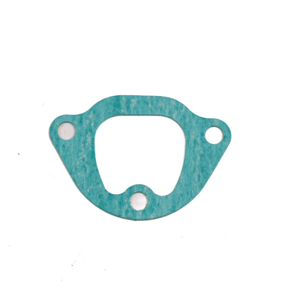 Jaguar Gasket Water Housing To Manifold