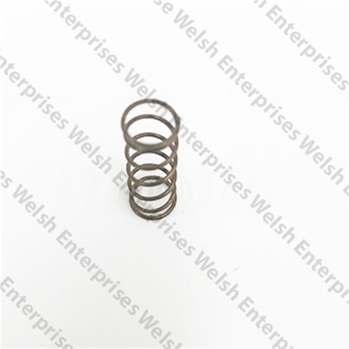 Jaguar Lower Timing Gear Spring