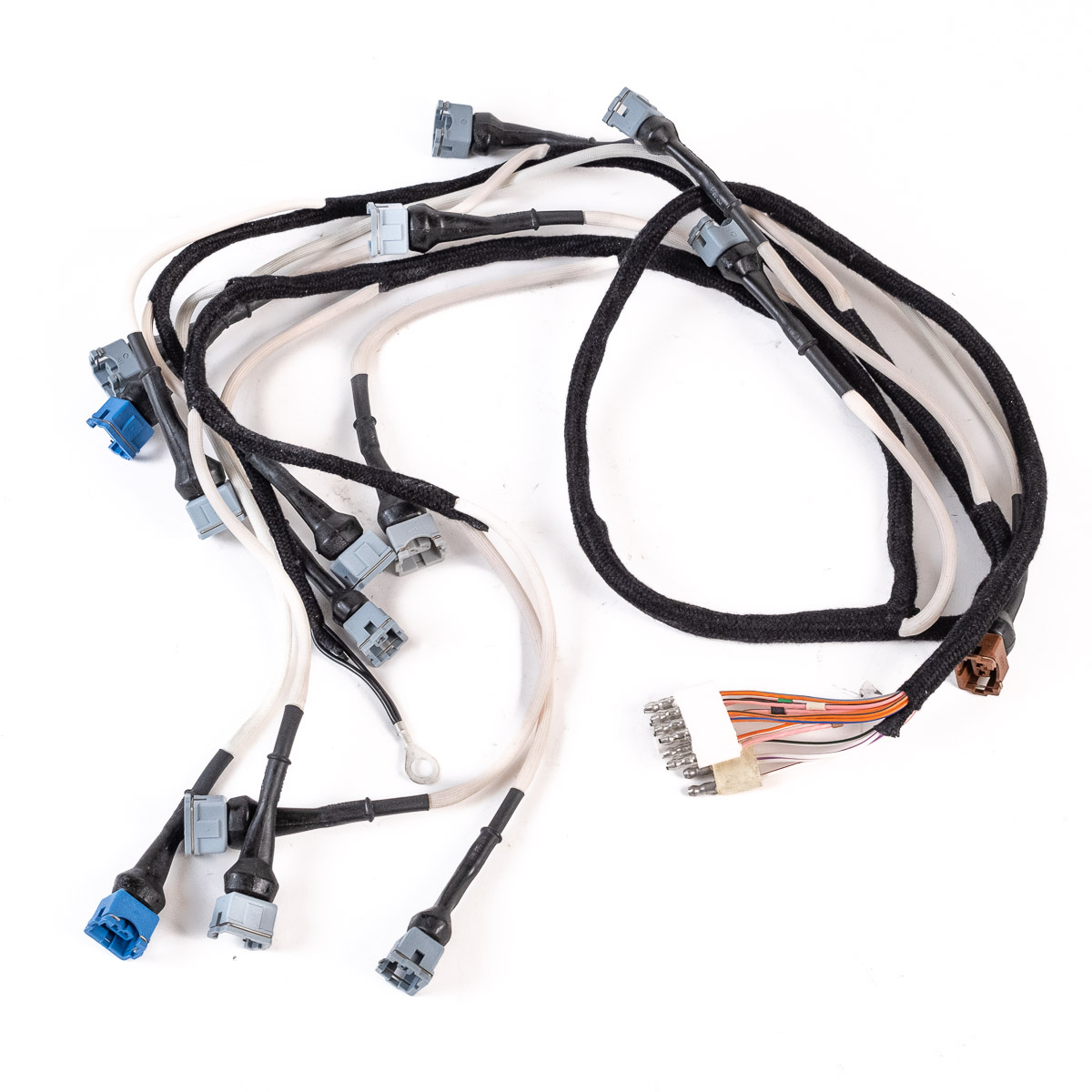 Jaguar Harness