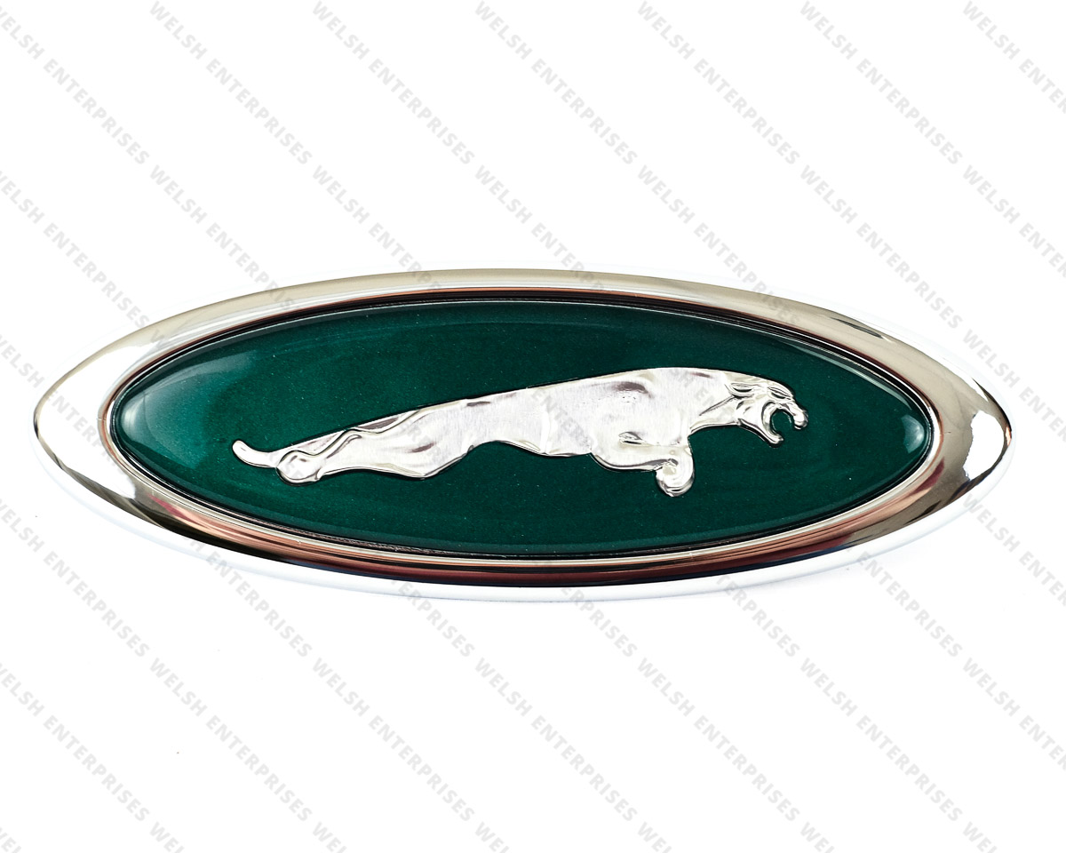 Jaguar Motif Fender Right Hand Front XK8