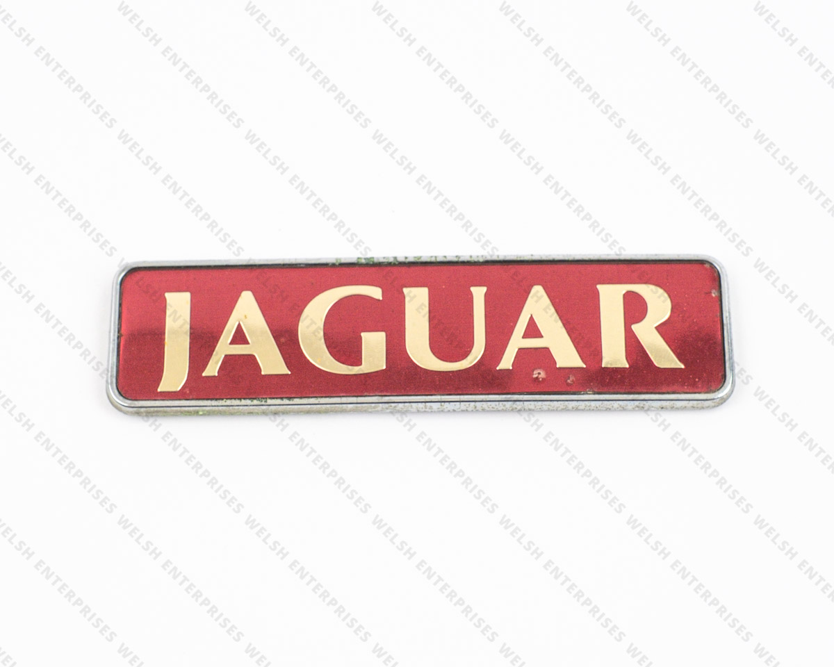 Jaguar Motif Trunk "Jaguar" X300