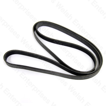 Jaguar Engine Drive Belt - XJ8 XK8