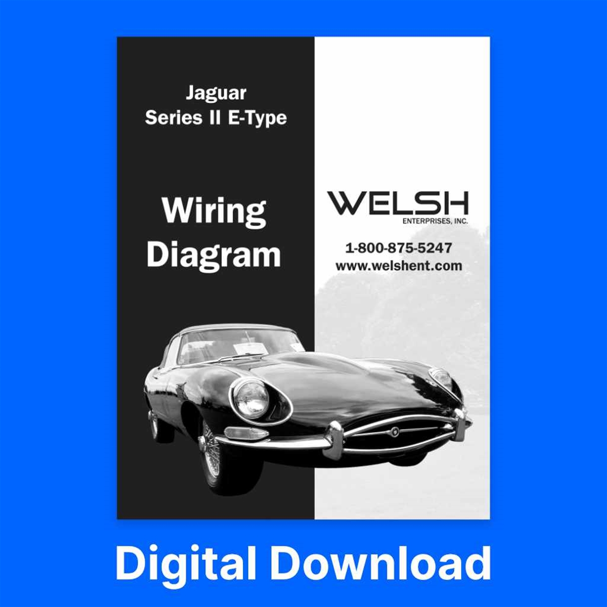 Jaguar Wiring Diagram - Series II E-Type