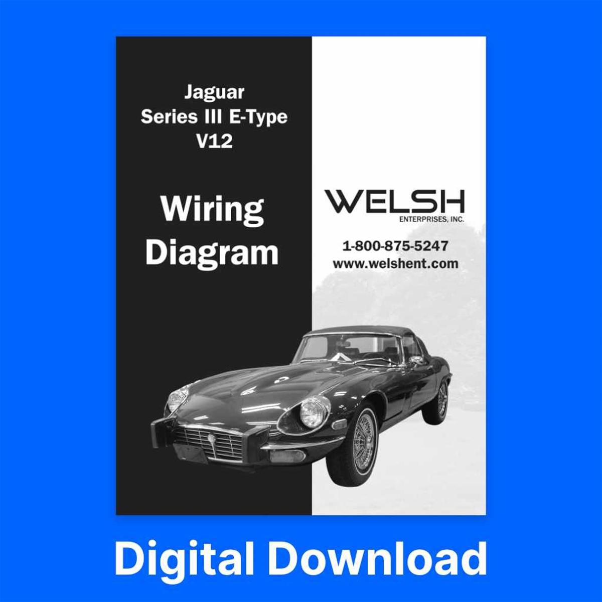 Wiring Diagram - Series III V12 E-Type (Digital Download)