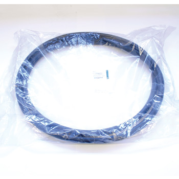 Jaguar Front Door Seal