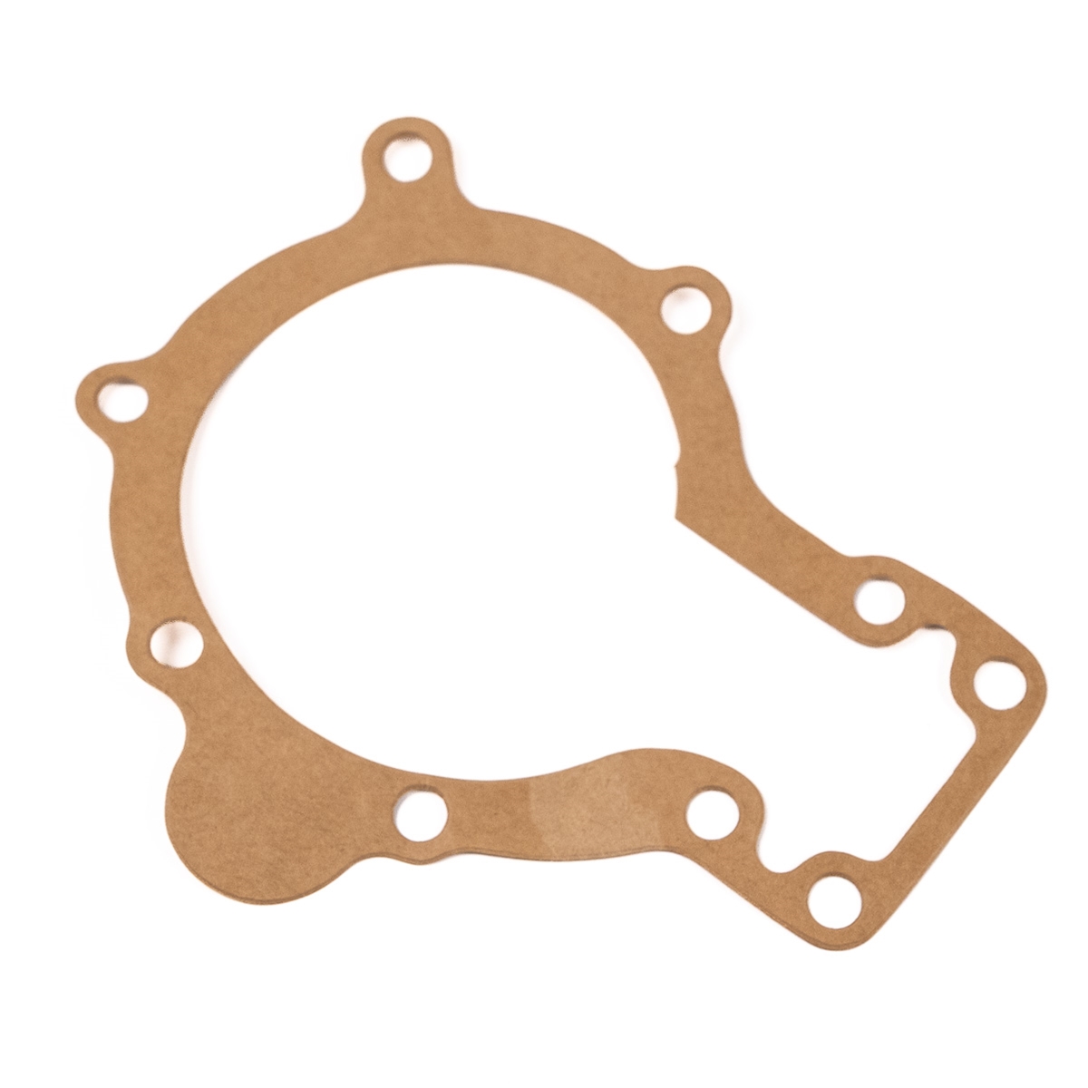 Jaguar Gasket Water Pump